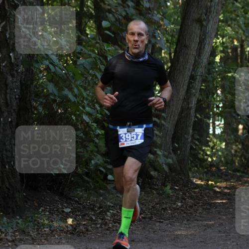 28.09.2025 - 33. Volkslauf durch das schöne Alstertal Strokosch-Dieckow http://msf.ph/oto/8968906 28.09.2025 11:18:14 Laufen 3957 meine-sportfotos.de