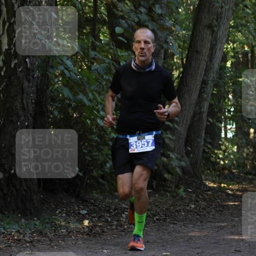 28.09.2025 - 33. Volkslauf durch das schöne Alstertal Strokosch-Dieckow http://msf.ph/oto/8968907 28.09.2025 11:18:14 Laufen 3957 meine-sportfotos.de
