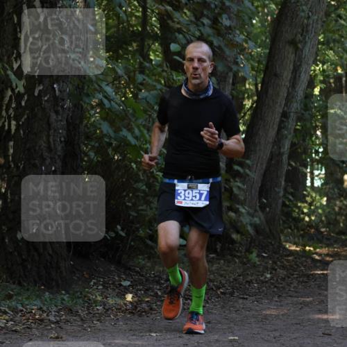 28.09.2025 - 33. Volkslauf durch das schöne Alstertal Strokosch-Dieckow http://msf.ph/oto/8968908 28.09.2025 11:18:14 Laufen 3957 meine-sportfotos.de