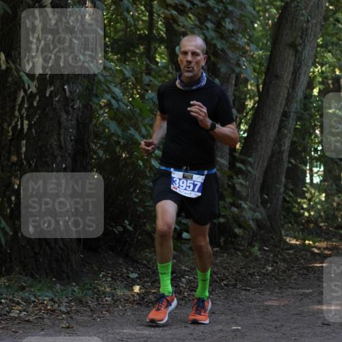 28.09.2025 - 33. Volkslauf durch das schöne Alstertal Strokosch-Dieckow http://msf.ph/oto/8968909 28.09.2025 11:18:14 Laufen 3957 meine-sportfotos.de