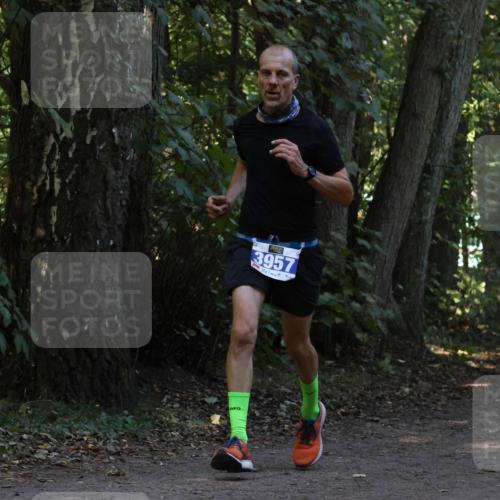 28.09.2025 - 33. Volkslauf durch das schöne Alstertal Strokosch-Dieckow http://msf.ph/oto/8968910 28.09.2025 11:18:14 Laufen 3957 meine-sportfotos.de