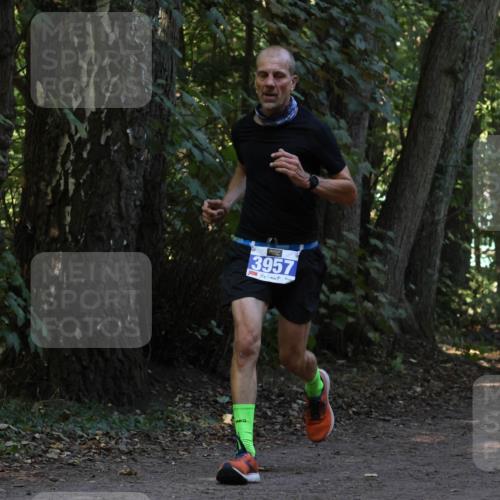 28.09.2025 - 33. Volkslauf durch das schöne Alstertal Strokosch-Dieckow http://msf.ph/oto/8968911 28.09.2025 11:18:14 Laufen 3957 meine-sportfotos.de