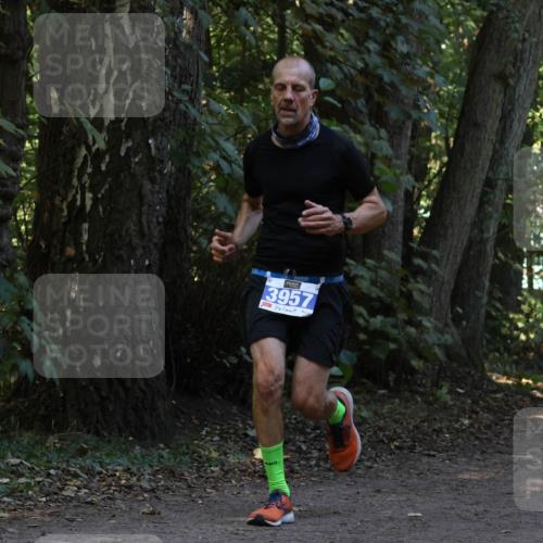 28.09.2025 - 33. Volkslauf durch das schöne Alstertal Strokosch-Dieckow http://msf.ph/oto/8968912 28.09.2025 11:18:14 Laufen 3957, 644 meine-sportfotos.de