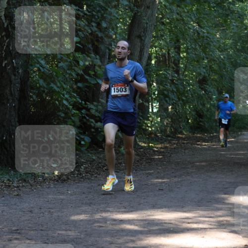 28.09.2025 - 33. Volkslauf durch das schöne Alstertal Strokosch-Dieckow http://msf.ph/oto/8968913 28.09.2025 11:18:25 Laufen 1503 meine-sportfotos.de