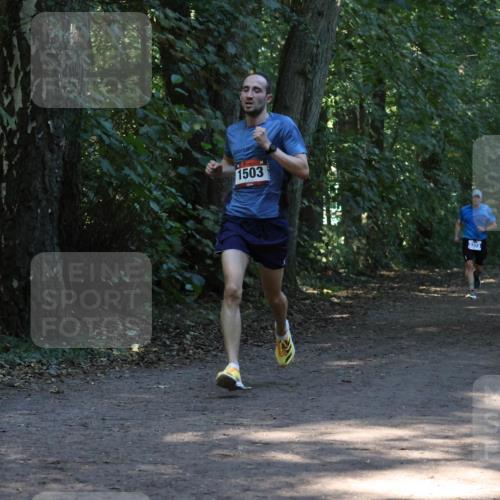 28.09.2025 - 33. Volkslauf durch das schöne Alstertal Strokosch-Dieckow http://msf.ph/oto/8968914 28.09.2025 11:18:25 Laufen 1503 meine-sportfotos.de