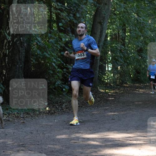 28.09.2025 - 33. Volkslauf durch das schöne Alstertal Strokosch-Dieckow http://msf.ph/oto/8968915 28.09.2025 11:18:26 Laufen 1503, 373 meine-sportfotos.de