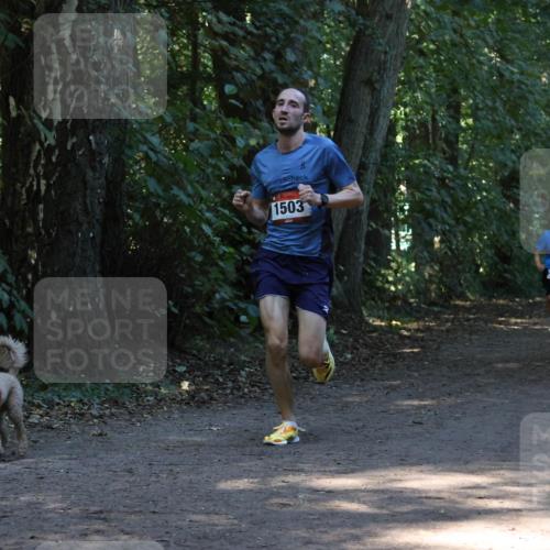 28.09.2025 - 33. Volkslauf durch das schöne Alstertal Strokosch-Dieckow http://msf.ph/oto/8968916 28.09.2025 11:18:26 Laufen 1503, 3373 meine-sportfotos.de