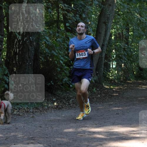 28.09.2025 - 33. Volkslauf durch das schöne Alstertal Strokosch-Dieckow http://msf.ph/oto/8968917 28.09.2025 11:18:26 Laufen 1503 meine-sportfotos.de