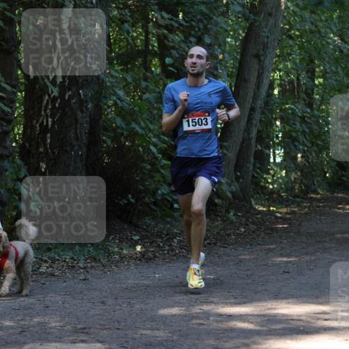 28.09.2025 - 33. Volkslauf durch das schöne Alstertal Strokosch-Dieckow http://msf.ph/oto/8968918 28.09.2025 11:18:26 Laufen 1503 meine-sportfotos.de