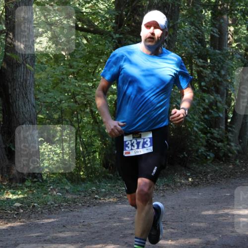 28.09.2025 - 33. Volkslauf durch das schöne Alstertal Strokosch-Dieckow http://msf.ph/oto/8968929 28.09.2025 11:18:35 Laufen 3373 meine-sportfotos.de