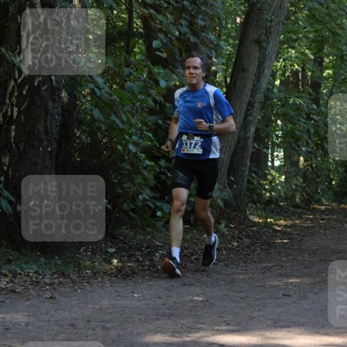 28.09.2025 - 33. Volkslauf durch das schöne Alstertal Strokosch-Dieckow http://msf.ph/oto/8968932 28.09.2025 11:18:49 Laufen 3372 meine-sportfotos.de