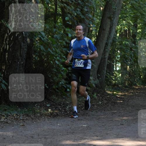 28.09.2025 - 33. Volkslauf durch das schöne Alstertal Strokosch-Dieckow http://msf.ph/oto/8968933 28.09.2025 11:18:49 Laufen 3372 meine-sportfotos.de