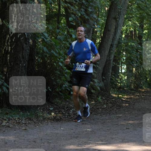 28.09.2025 - 33. Volkslauf durch das schöne Alstertal Strokosch-Dieckow http://msf.ph/oto/8968934 28.09.2025 11:18:49 Laufen 3372 meine-sportfotos.de