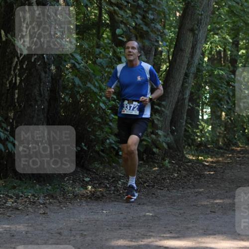 28.09.2025 - 33. Volkslauf durch das schöne Alstertal Strokosch-Dieckow http://msf.ph/oto/8968935 28.09.2025 11:18:49 Laufen 3372 meine-sportfotos.de