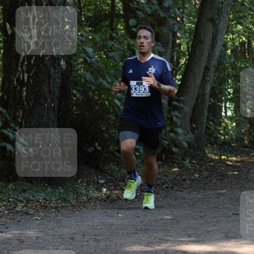 28.09.2025 - 33. Volkslauf durch das schöne Alstertal Strokosch-Dieckow http://msf.ph/oto/8968937 28.09.2025 11:19:05 Laufen 3393 meine-sportfotos.de