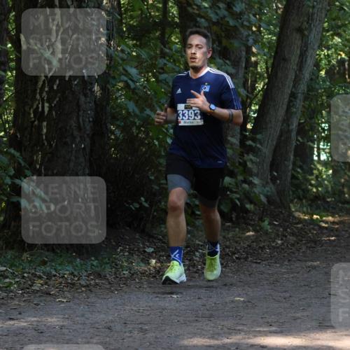 28.09.2025 - 33. Volkslauf durch das schöne Alstertal Strokosch-Dieckow http://msf.ph/oto/8968938 28.09.2025 11:19:05 Laufen 3393 meine-sportfotos.de