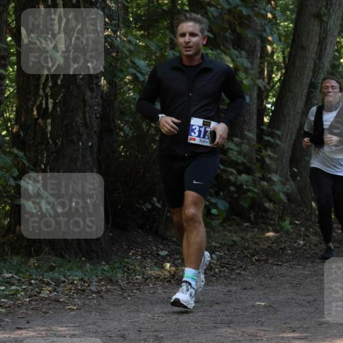 28.09.2025 - 33. Volkslauf durch das schöne Alstertal Strokosch-Dieckow http://msf.ph/oto/8968944 28.09.2025 11:19:24 Laufen 31 meine-sportfotos.de