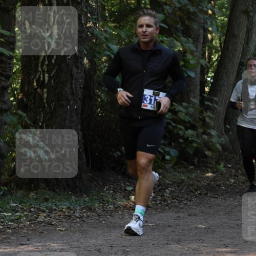 28.09.2025 - 33. Volkslauf durch das schöne Alstertal Strokosch-Dieckow http://msf.ph/oto/8968945 28.09.2025 11:19:24 Laufen 317 meine-sportfotos.de