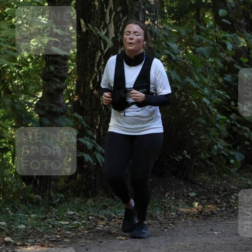 28.09.2025 - 33. Volkslauf durch das schöne Alstertal Strokosch-Dieckow http://msf.ph/oto/8968951 28.09.2025 11:19:26 Laufen  meine-sportfotos.de