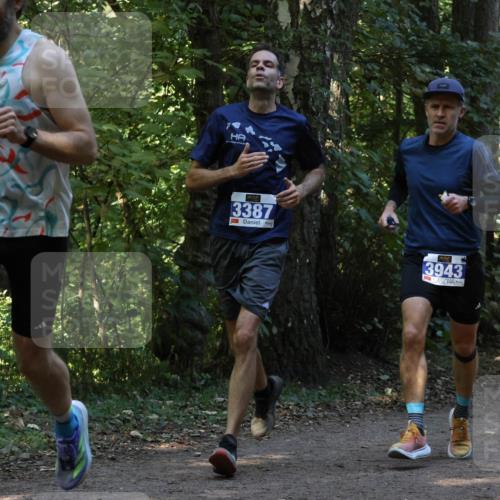28.09.2025 - 33. Volkslauf durch das schöne Alstertal Strokosch-Dieckow http://msf.ph/oto/8968957 28.09.2025 11:19:32 Laufen 3046, 3387, 3943 meine-sportfotos.de