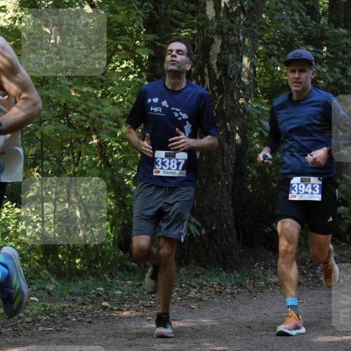 28.09.2025 - 33. Volkslauf durch das schöne Alstertal Strokosch-Dieckow http://msf.ph/oto/8968959 28.09.2025 11:19:32 Laufen 3046, 3387, 3943 meine-sportfotos.de