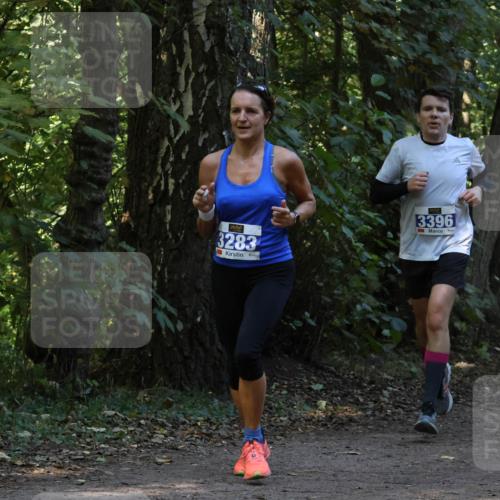 28.09.2025 - 33. Volkslauf durch das schöne Alstertal Strokosch-Dieckow http://msf.ph/oto/8968964 28.09.2025 11:19:38 Laufen 3283, 150, 3396 meine-sportfotos.de