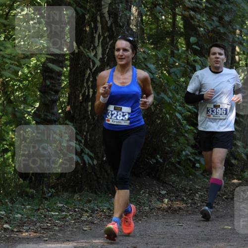 28.09.2025 - 33. Volkslauf durch das schöne Alstertal Strokosch-Dieckow http://msf.ph/oto/8968965 28.09.2025 11:19:38 Laufen 3283, 3396, 150 meine-sportfotos.de