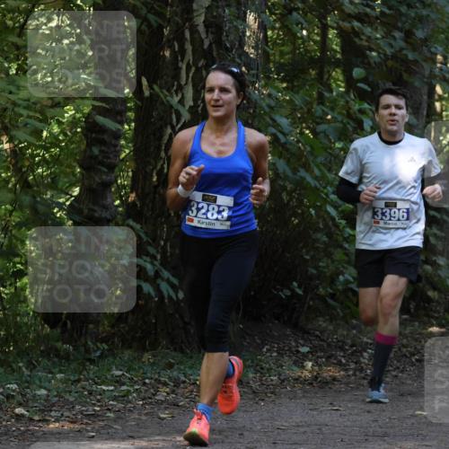 28.09.2025 - 33. Volkslauf durch das schöne Alstertal Strokosch-Dieckow http://msf.ph/oto/8968966 28.09.2025 11:19:38 Laufen 3283, 3396, 150 meine-sportfotos.de