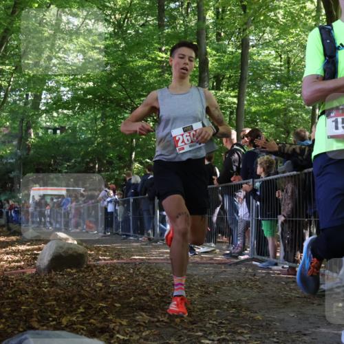 28.09.2025 - 33. Volkslauf durch das schöne Alstertal Strokosch-Dieckow http://msf.ph/oto/8968973 28.09.2025 11:49:21 Ziel 1567, 1581, 2608 meine-sportfotos.de