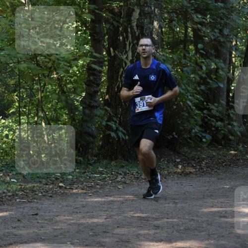 28.09.2025 - 33. Volkslauf durch das schöne Alstertal Strokosch-Dieckow http://msf.ph/oto/8968974 28.09.2025 11:19:49 Laufen 391 meine-sportfotos.de