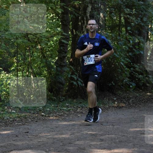 28.09.2025 - 33. Volkslauf durch das schöne Alstertal Strokosch-Dieckow http://msf.ph/oto/8968975 28.09.2025 11:19:49 Laufen 3916 meine-sportfotos.de