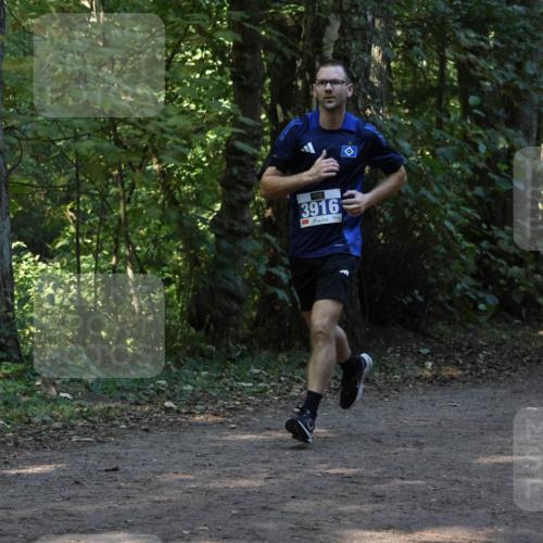 28.09.2025 - 33. Volkslauf durch das schöne Alstertal Strokosch-Dieckow http://msf.ph/oto/8968976 28.09.2025 11:19:49 Laufen 3916 meine-sportfotos.de