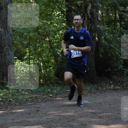 28.09.2025 - 33. Volkslauf durch das schöne Alstertal Strokosch-Dieckow http://msf.ph/oto/8968979 28.09.2025 11:19:49 Laufen 3916 meine-sportfotos.de