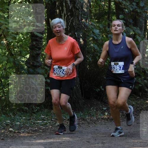 28.09.2025 - 33. Volkslauf durch das schöne Alstertal Strokosch-Dieckow http://msf.ph/oto/8968989 28.09.2025 11:20:04 Laufen 3024, 3367, 3907 meine-sportfotos.de