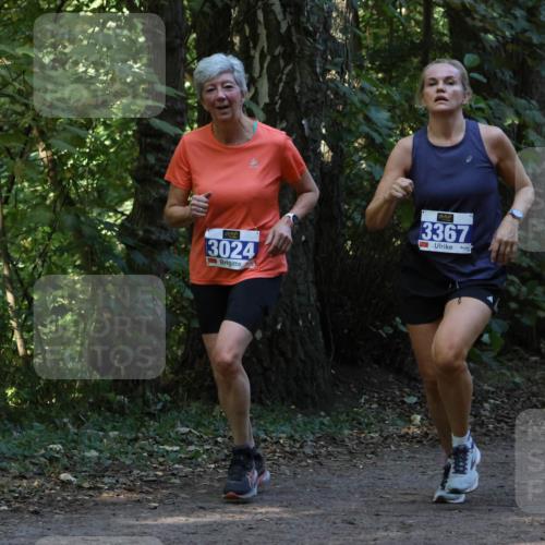 28.09.2025 - 33. Volkslauf durch das schöne Alstertal Strokosch-Dieckow http://msf.ph/oto/8968990 28.09.2025 11:20:05 Laufen 3024, 3367, 39 meine-sportfotos.de