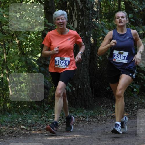 28.09.2025 - 33. Volkslauf durch das schöne Alstertal Strokosch-Dieckow http://msf.ph/oto/8968991 28.09.2025 11:20:05 Laufen 3024, 3367, 3907 meine-sportfotos.de