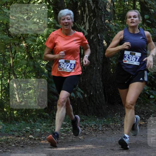 28.09.2025 - 33. Volkslauf durch das schöne Alstertal Strokosch-Dieckow http://msf.ph/oto/8968992 28.09.2025 11:20:05 Laufen 3024, 3, 3367, 3907 meine-sportfotos.de