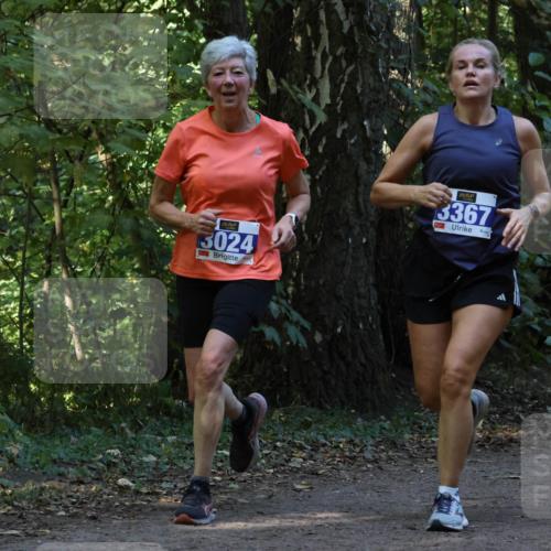 28.09.2025 - 33. Volkslauf durch das schöne Alstertal Strokosch-Dieckow http://msf.ph/oto/8968993 28.09.2025 11:20:05 Laufen 3024, 3367, 3907 meine-sportfotos.de