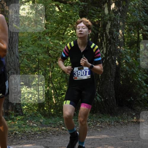 28.09.2025 - 33. Volkslauf durch das schöne Alstertal Strokosch-Dieckow http://msf.ph/oto/8968999 28.09.2025 11:20:06 Laufen 367, 3907 meine-sportfotos.de