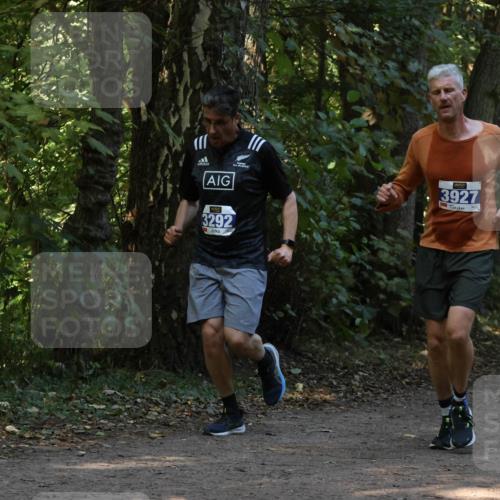 28.09.2025 - 33. Volkslauf durch das schöne Alstertal Strokosch-Dieckow http://msf.ph/oto/8969001 28.09.2025 11:20:16 Laufen 3292, 3927, 3030 meine-sportfotos.de