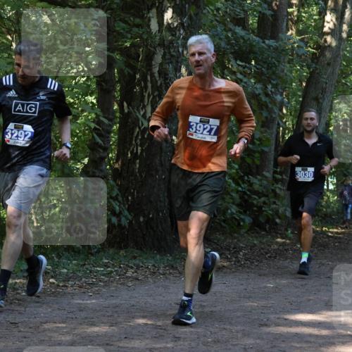 28.09.2025 - 33. Volkslauf durch das schöne Alstertal Strokosch-Dieckow http://msf.ph/oto/8969004 28.09.2025 11:20:17 Laufen 3292, 3927, 3030, 176 meine-sportfotos.de