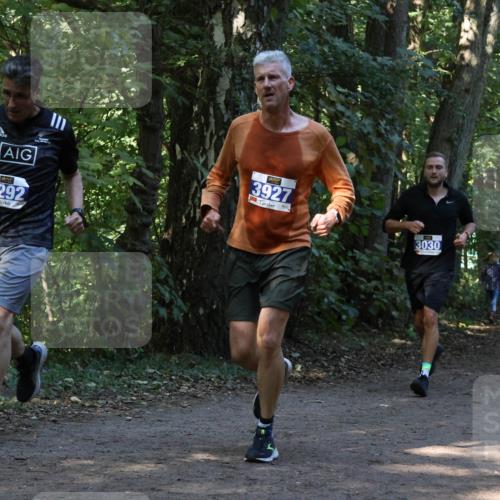 28.09.2025 - 33. Volkslauf durch das schöne Alstertal Strokosch-Dieckow http://msf.ph/oto/8969005 28.09.2025 11:20:17 Laufen 3292, 3927, 3030, 3176 meine-sportfotos.de