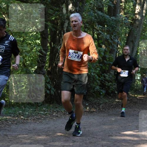 28.09.2025 - 33. Volkslauf durch das schöne Alstertal Strokosch-Dieckow http://msf.ph/oto/8969006 28.09.2025 11:20:17 Laufen 3927, 3292, 3030, 3176 meine-sportfotos.de