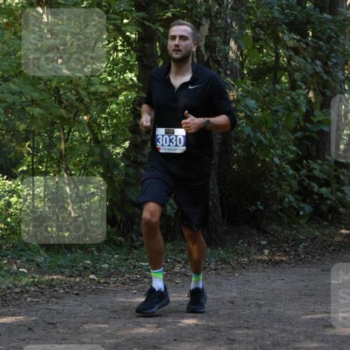 28.09.2025 - 33. Volkslauf durch das schöne Alstertal Strokosch-Dieckow http://msf.ph/oto/8969011 28.09.2025 11:20:19 Laufen 3030, 317 meine-sportfotos.de