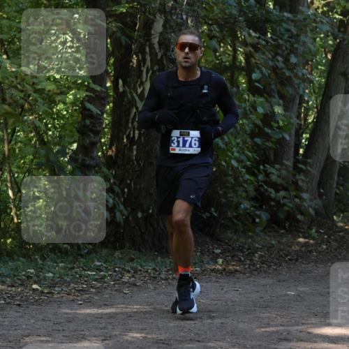 28.09.2025 - 33. Volkslauf durch das schöne Alstertal Strokosch-Dieckow http://msf.ph/oto/8969013 28.09.2025 11:20:21 Laufen 3176, 3 meine-sportfotos.de
