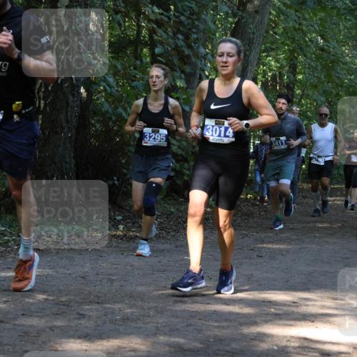 28.09.2025 - 33. Volkslauf durch das schöne Alstertal Strokosch-Dieckow http://msf.ph/oto/8969026 28.09.2025 11:20:26 Laufen 2003, 3335, 3295, 3014, 3411, 3019, 3169 meine-sportfotos.de
