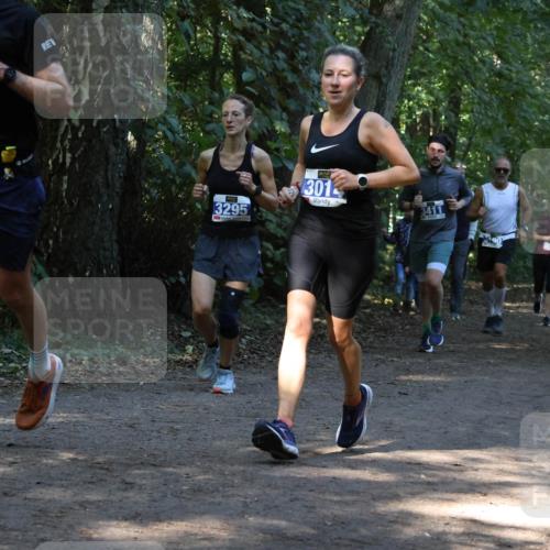 28.09.2025 - 33. Volkslauf durch das schöne Alstertal Strokosch-Dieckow http://msf.ph/oto/8969027 28.09.2025 11:20:26 Laufen 2023, 3335, 3295, 3014, 3411, 3169 meine-sportfotos.de