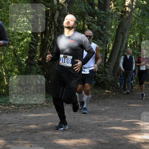 28.09.2025 - 33. Volkslauf durch das schöne Alstertal Strokosch-Dieckow http://msf.ph/oto/8969033 28.09.2025 11:20:30 Laufen 3411, 3169, 90, 3019 meine-sportfotos.de