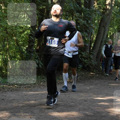 28.09.2025 - 33. Volkslauf durch das schöne Alstertal Strokosch-Dieckow http://msf.ph/oto/8969036 28.09.2025 11:20:30 Laufen 3411, 3169, 3019, 3190 meine-sportfotos.de