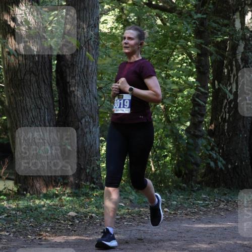 28.09.2025 - 33. Volkslauf durch das schöne Alstertal Strokosch-Dieckow http://msf.ph/oto/8969042 28.09.2025 11:20:34 Laufen 3019 meine-sportfotos.de